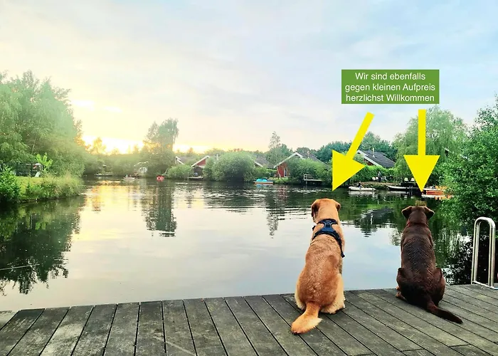 Deluxe, Direkt Am See, Mit Hauseigener Panorama Aussensauna, Zwei Badezimmern, Tretboot, Kamin, In Direkter Naehe Zum Kinderspieleparadies Sowie Reit- Und Ponyhof, 1 Bis 8 Personen *